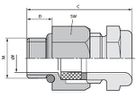 SKINDICHT MINI NBR 6 X 1