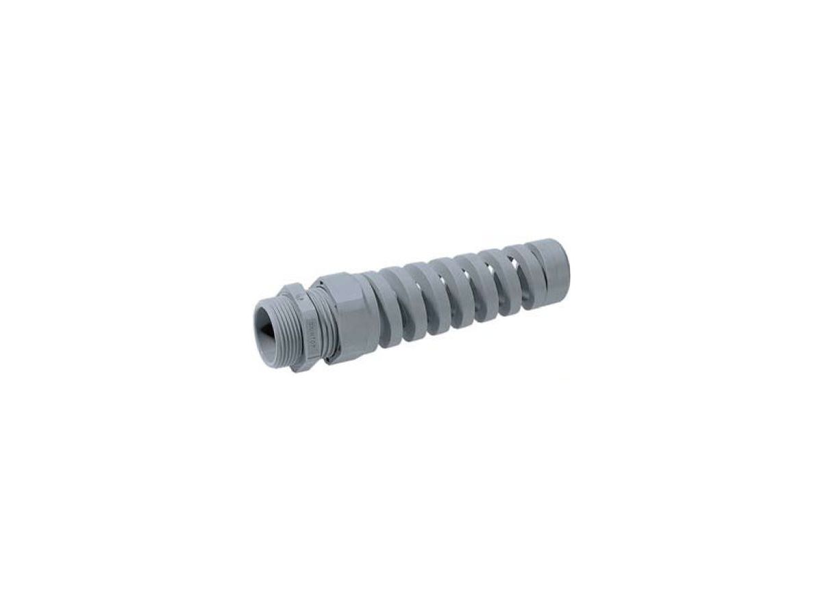 SKINTOP BS PG 9 RAL 7001 SGY