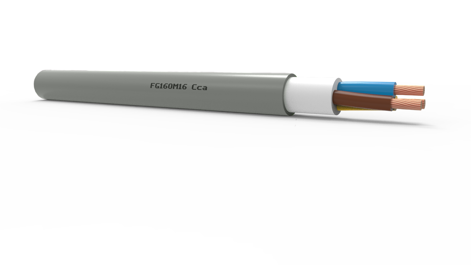 FG16OM16 Cca