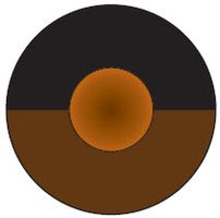 X05V-K 2CHELIX 1X0,5 BNBK