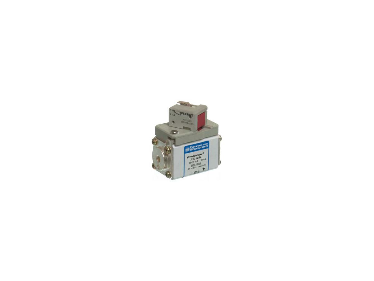 Sicherung gRB TTF/EF
