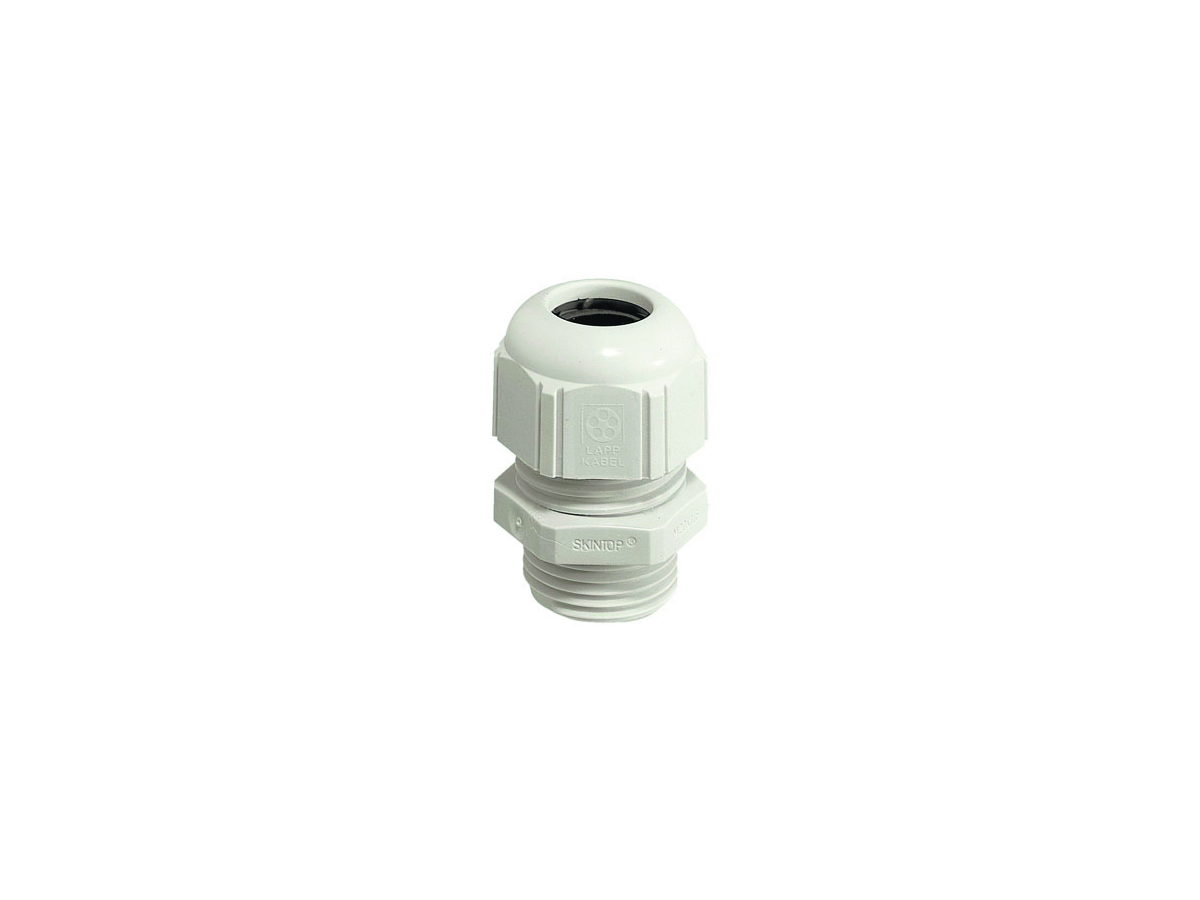 SKINTOP ST PG 9 RAL 7035 LGY