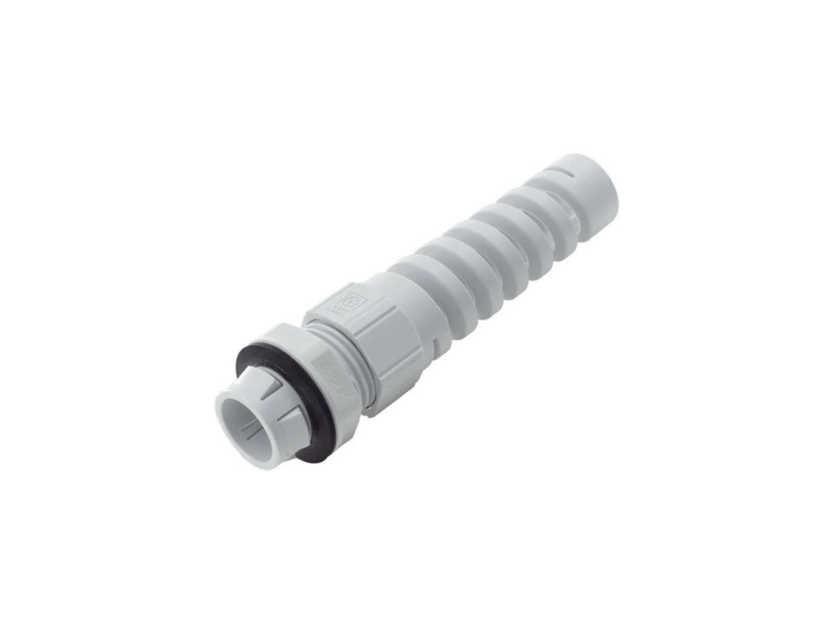 SKINTOP CLICK BS 12 RAL 7035 LGY