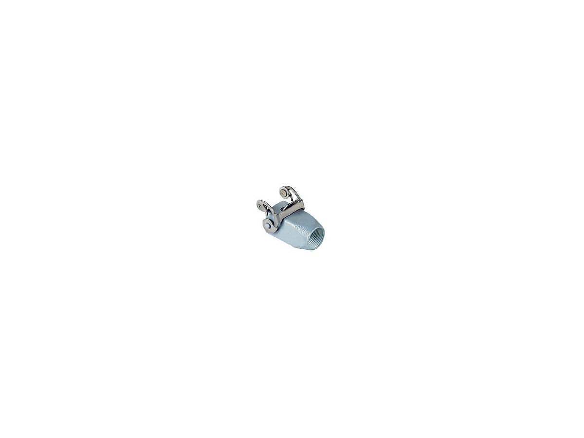 Tüllengehäuse mit 1 Inox-Bügel gerade - M20, 21x21mm