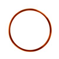 O-RING 17 FÜR BTC VE= 50