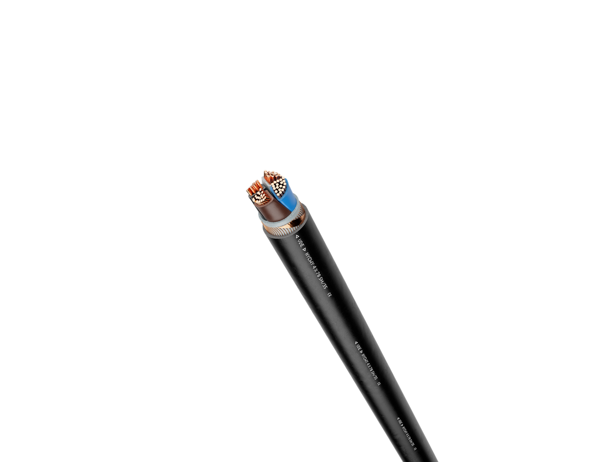 NYCWY 2x10 RE/10 0,6/1kV