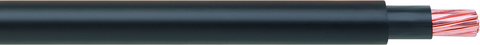 NYY-J, NYY-O