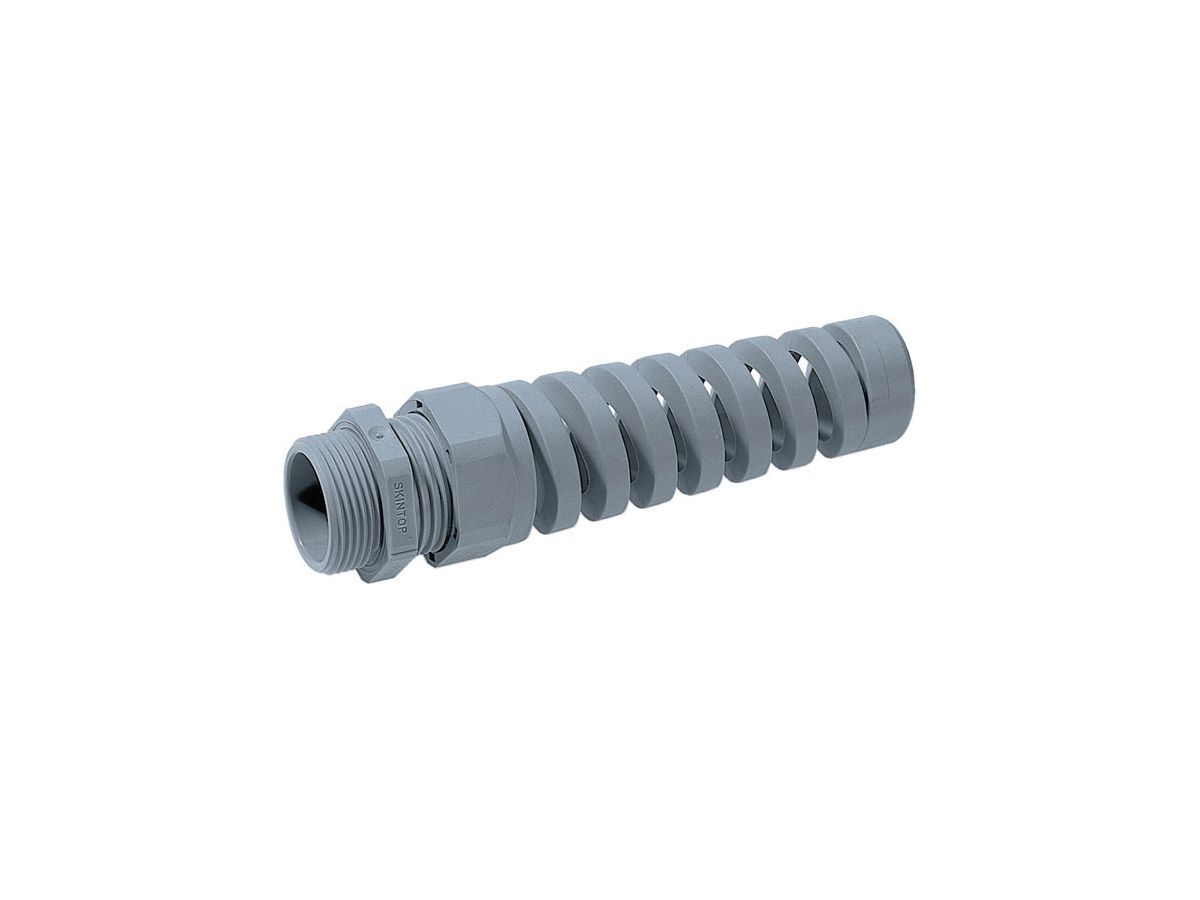 SKINTOP BS-M 25X1,5 RAL 7001 SGY