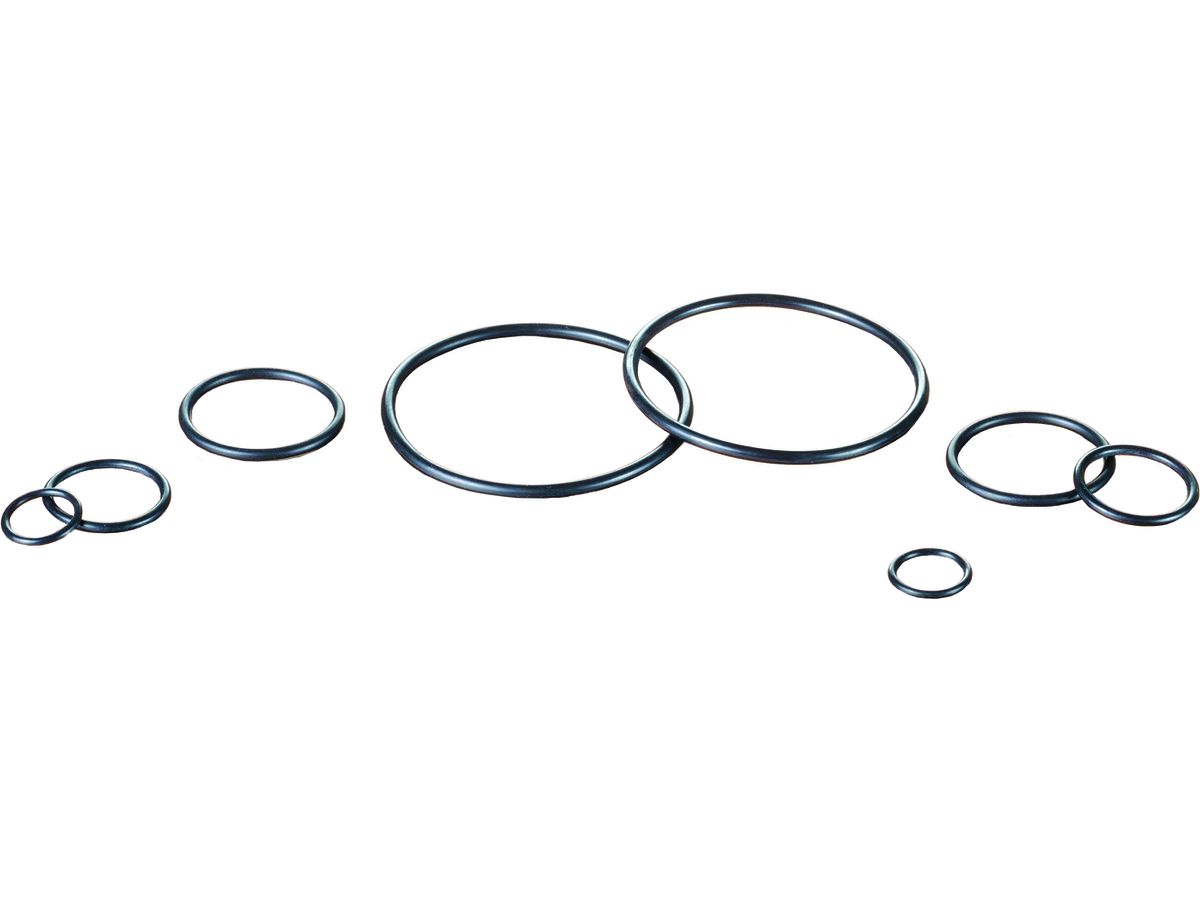 O-Ring 10 - VE 100Stk