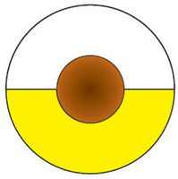 X05V-K 2CHELIX 1X0,5 YEWH