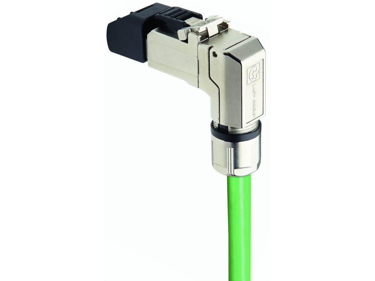 Stecker RJ45 lose
