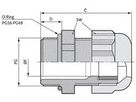 SKINTOP ST-Pg