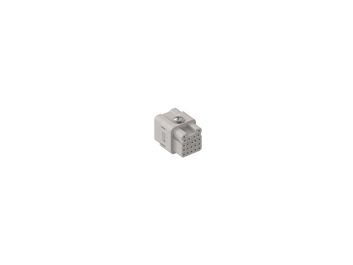 Buchseneinsatz 21pol - Crimp, 6,5A/-50V ac/ 120V dc