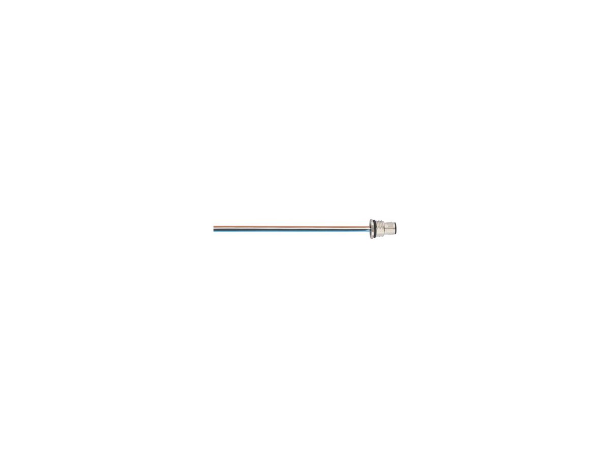 EPIC SENSOR Einbaustecker M12