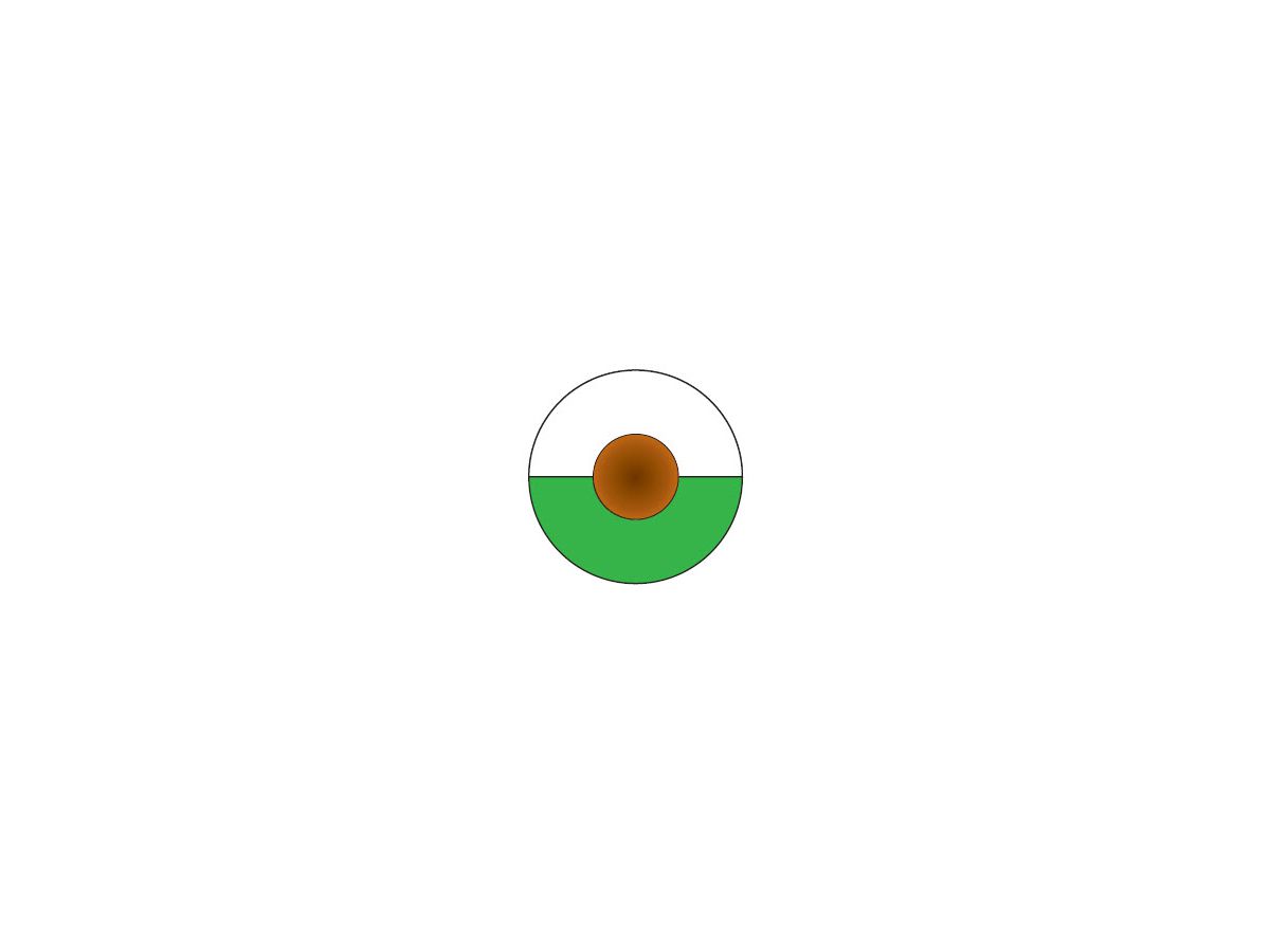 LIY 2CHELIX 1X0,25 GNWH